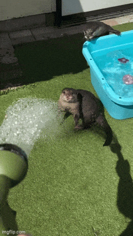   , , , 