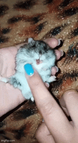   , , , 