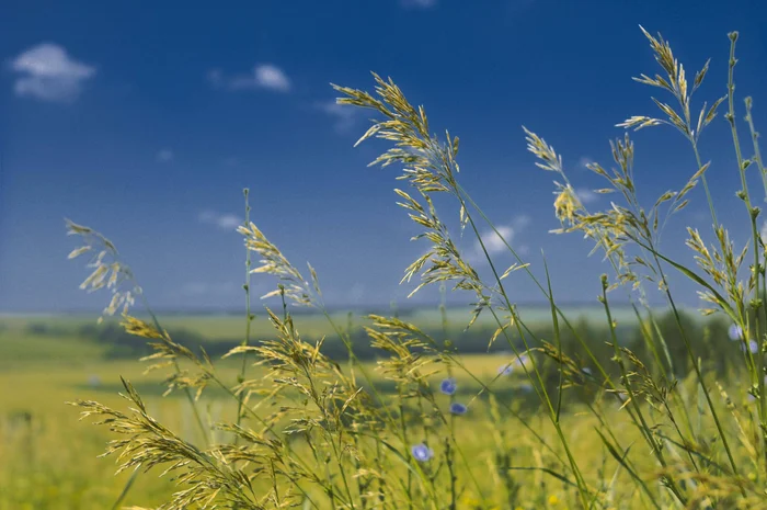 July hot day - My, The photo, Tatarstan, Landscape, Canon, Canon 1100d, Sky, Summer, Nature