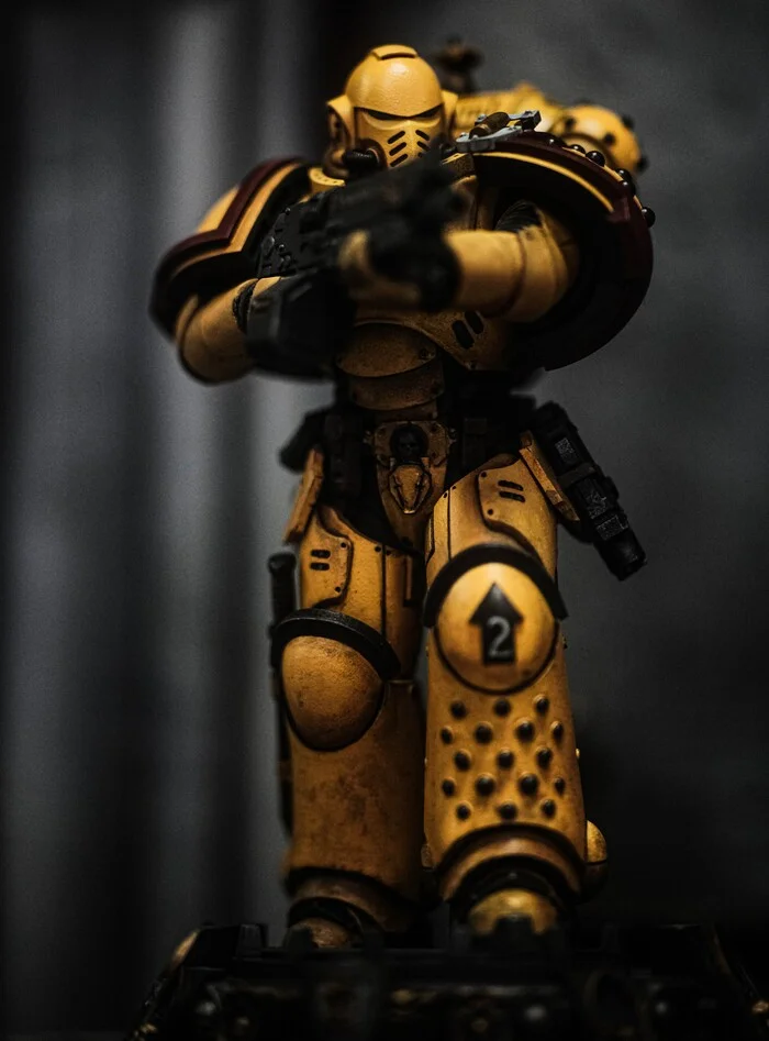 Primaris tactical Imperial Fists (height 20cm) - My, Warhammer 40k, Modeling, Miniature, Painting miniatures, Hobby, Collecting, Warhammer, With your own hands, Wh miniatures, Scale model, Collection, Figurines, Stand modeling, Painting, 3D printer, Painting, Longpost