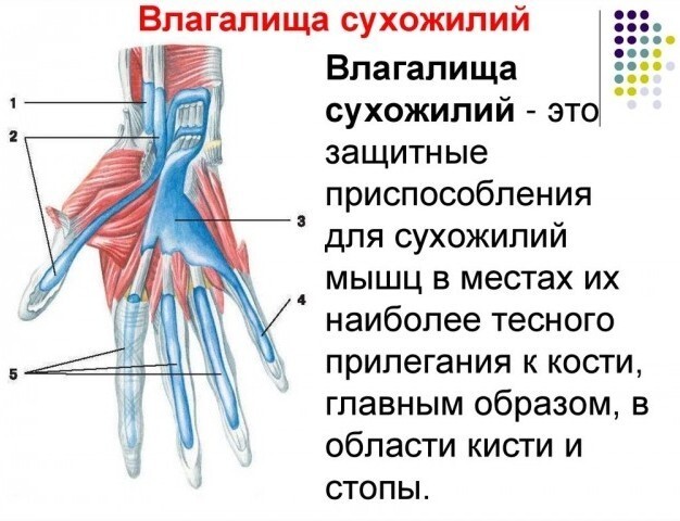 Онанист на улице - 3000 бесплатных видео