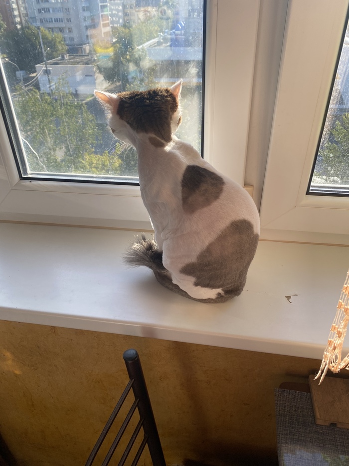 � ���� ������