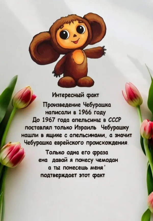 Oh..Wey... - Picture with text, Images, Cheburashka, Informative