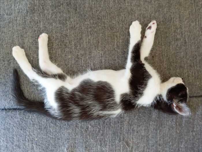 ����� ����� � ���, ��� ���� ����� �����! 