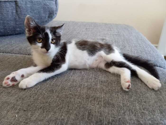 ��� ���� ���������� ���� ��� ��������, ��� ���������� ����������� ��� ��������� ������������. 