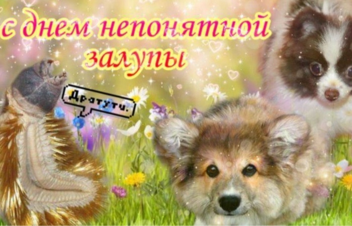         , ,  ,   , ,   
