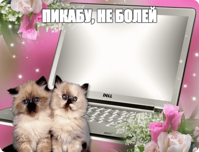 � �� �����