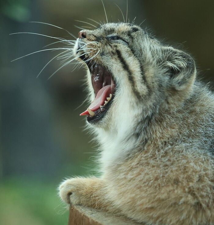 ���������!