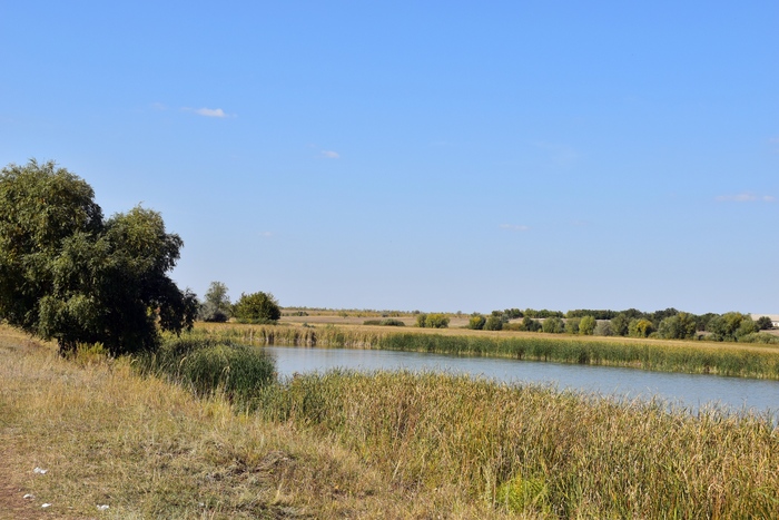 Вот здесь - жизнь.