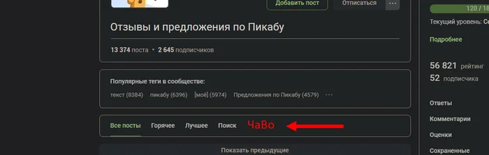 Да добавьте вы уже вкладку Часто задаваемых вопросов или ЧаВо - Моё, Тема, Картинки, Пикабу