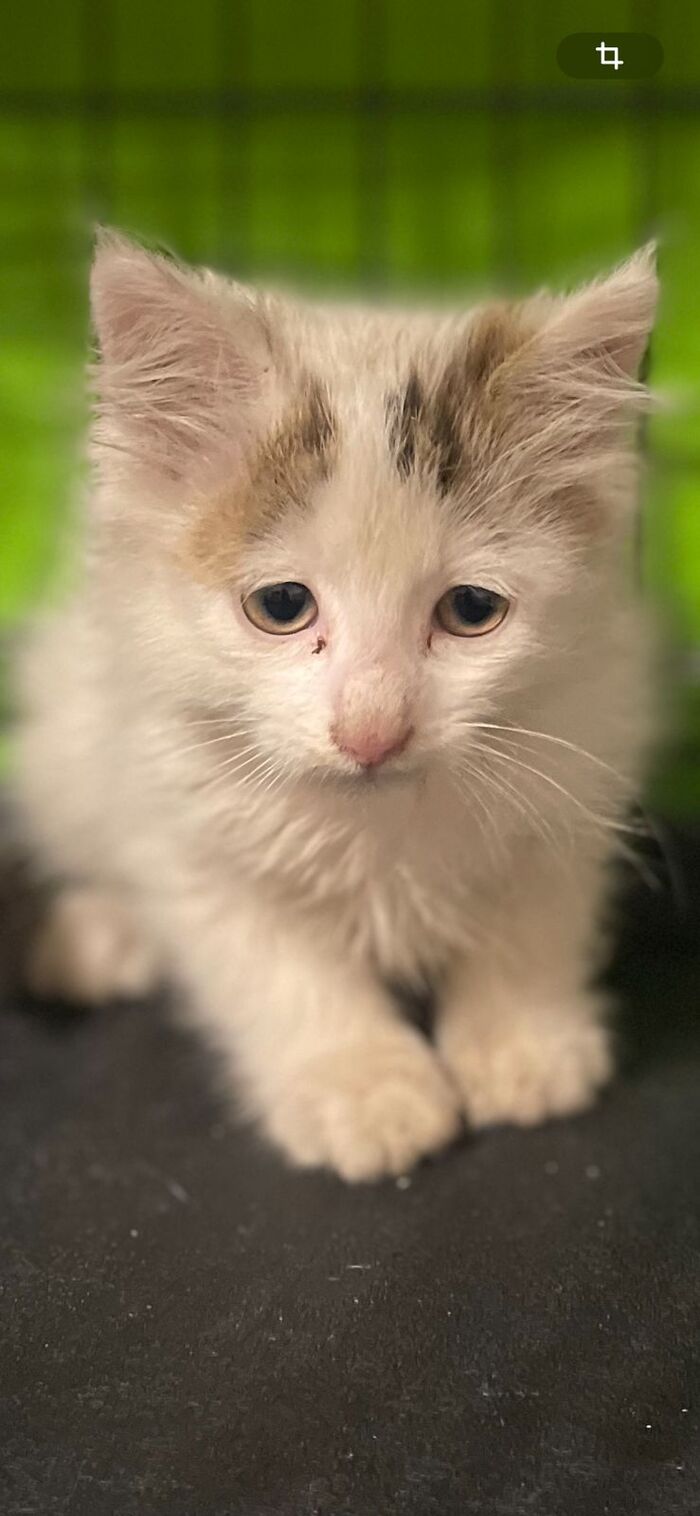 Маленький медвежонок, дорога домой. Мы готовы