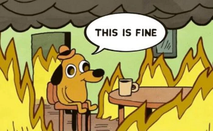 Real image of This is fine - Memes, This is fine, Everything is fine, Black humor, Fire, Telegram (link)