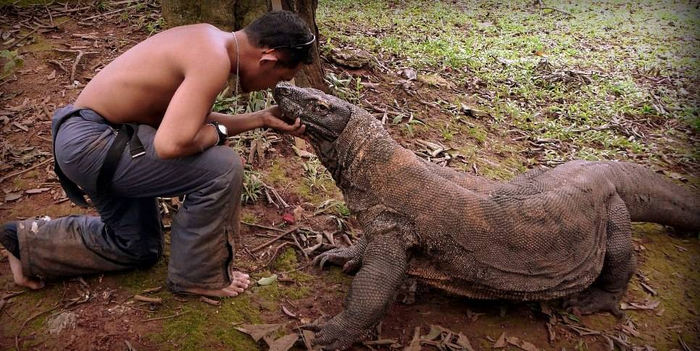Интересно, зачем этот обед подошел ко мне так близко? Мне же даже догонять его не придётся!