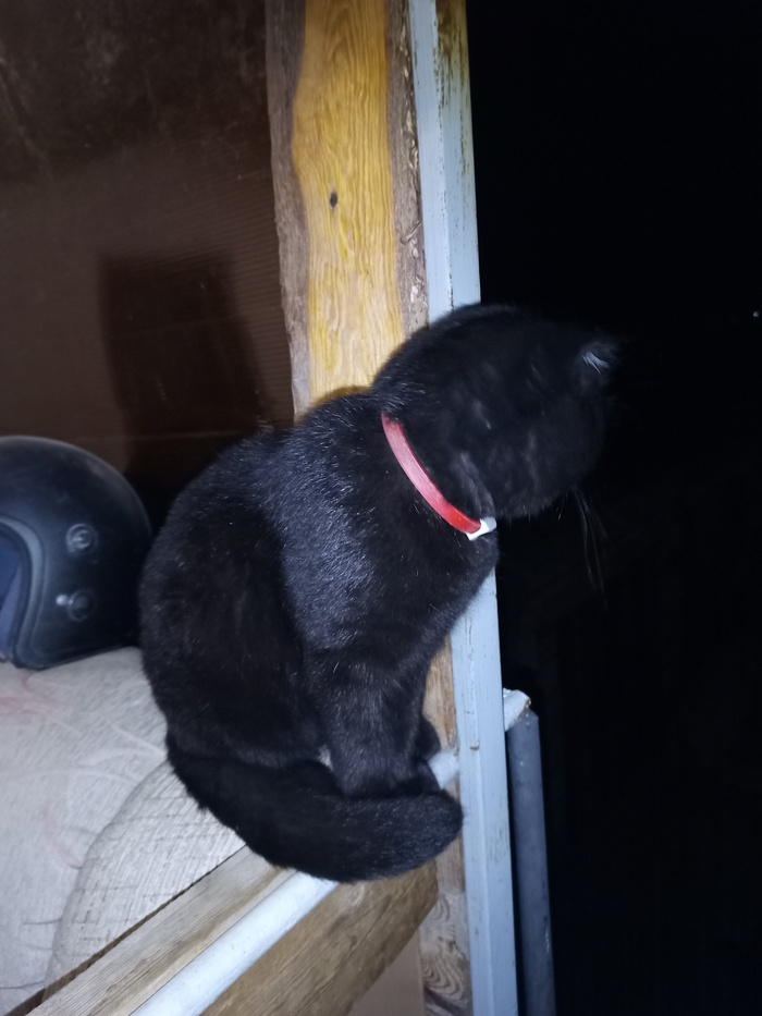 Я видел как тьма смотрит в тьму.)