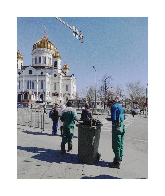 Три бездомные собаки - Современная проза, Жизнь, Смерть, Любовь, Мудрость, Животные, Длиннопост