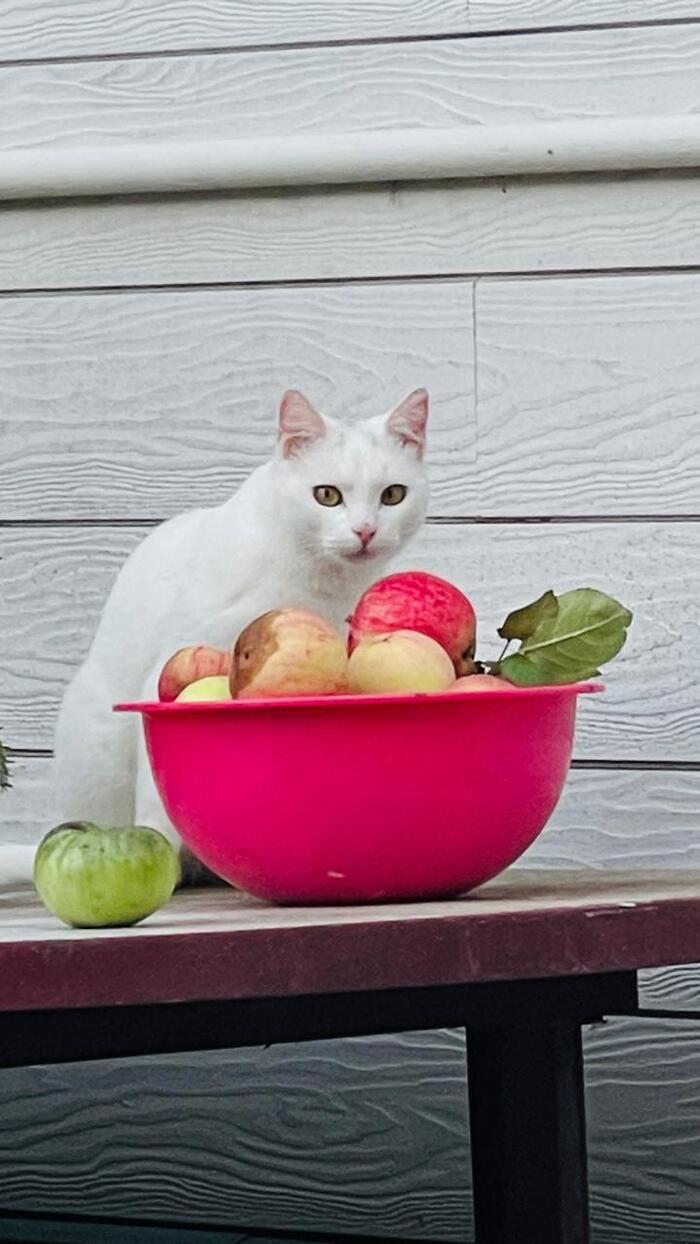  ? , , , , , ,  , 