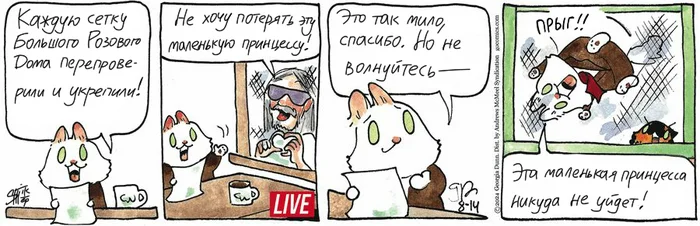 Котейкины Новости от 14.08.2024 - Моё, Кот, Комиксы, Перевод, Котейкины новости (комикс)