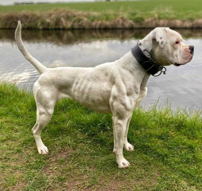 Он успел подкачаться к лету. А ты?