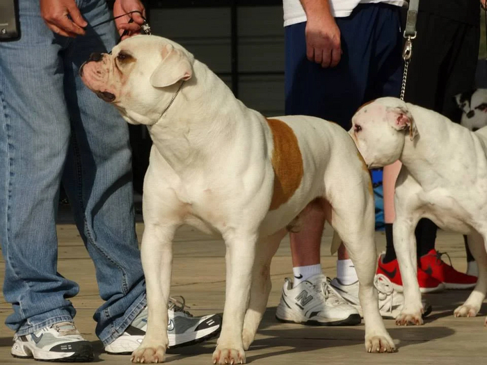 Почему нас так не любят? Мы же просто делаем свою работу!