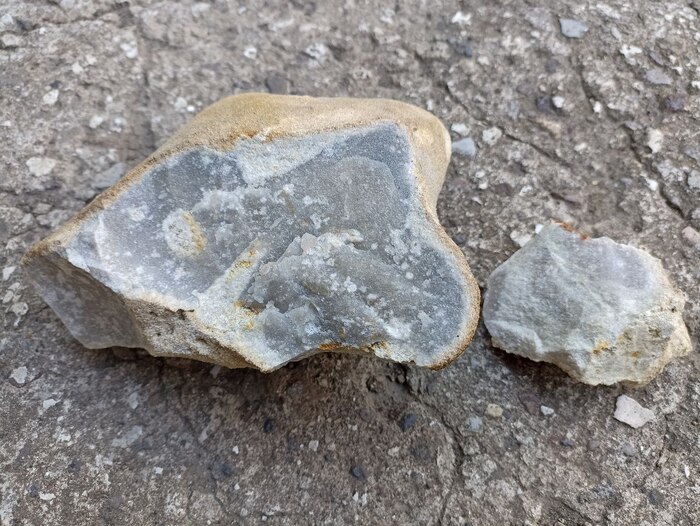 Доброго всем дня! На базе отдыха нашел вот такой экземпляр. (были и большего размера).