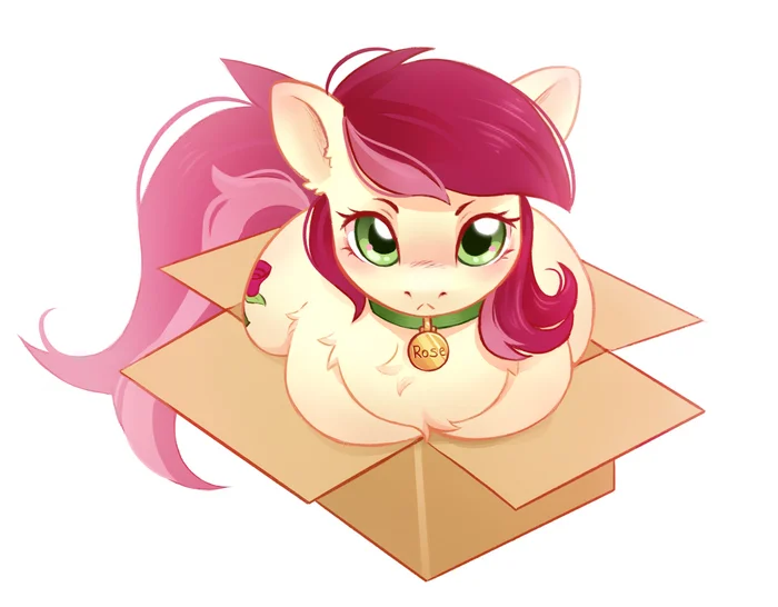 Box - My little pony, Roseluck