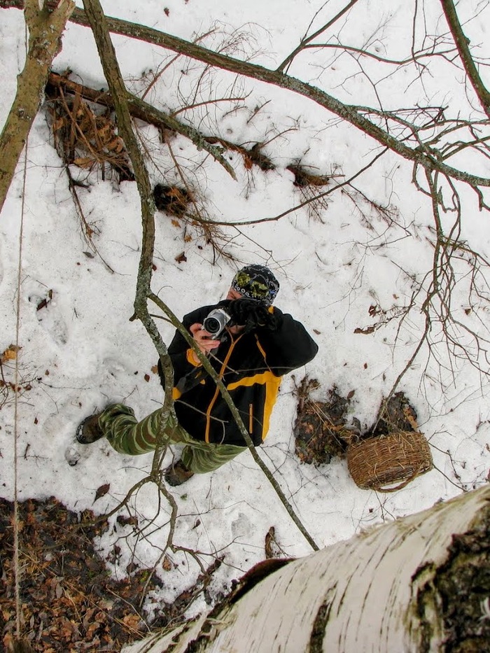 Домик на дереве Зима, Лес, Домик на дереве, Природа России, Снег, Длиннопост