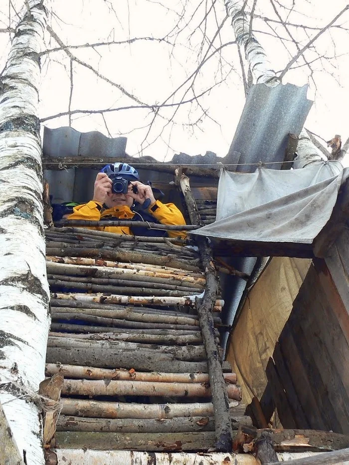 Treehouse - My, Winter, Forest, Tree house, The nature of Russia, Snow, Longpost