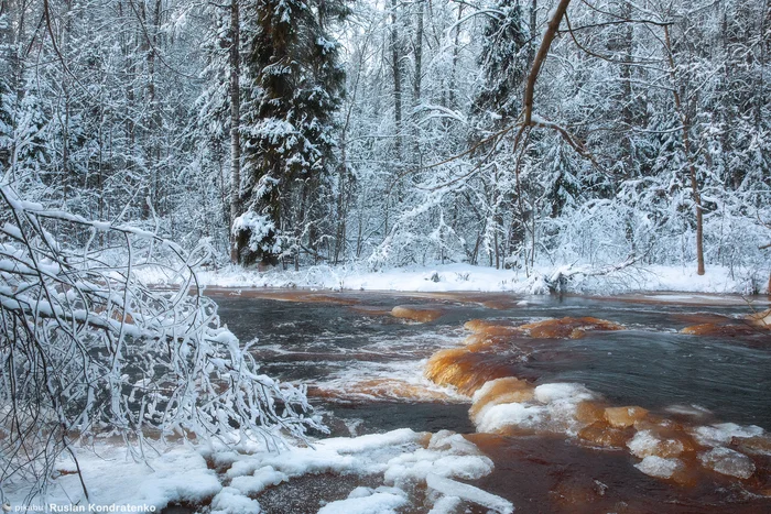 Lindulovskaya Grove in winter - My, The photo, Canon, Evening, Lindulovskaya grove, Winter, Longpost