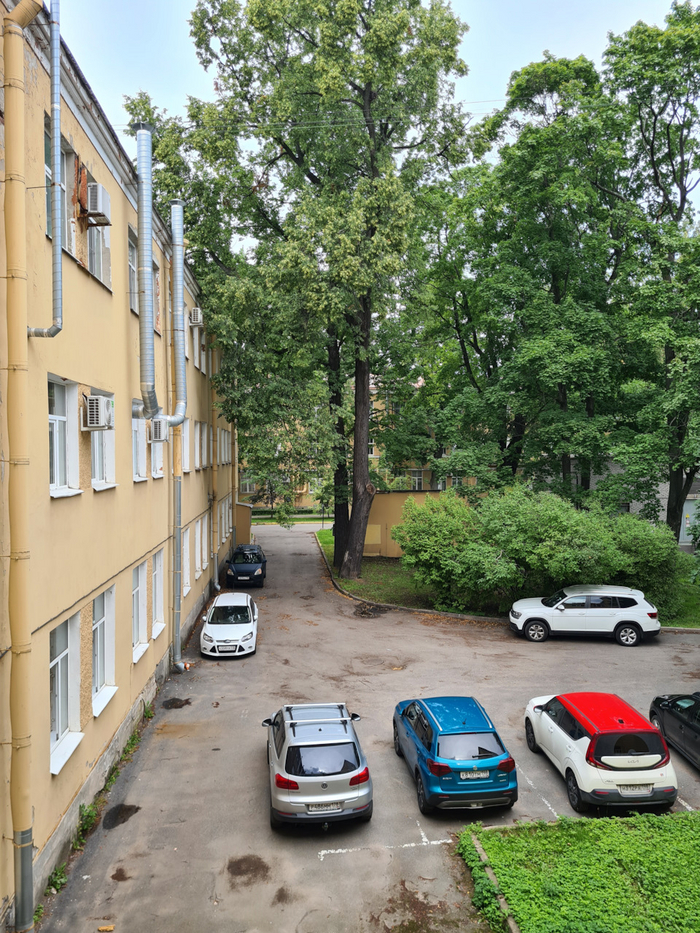 Вид из окна поликлиники со сложным названием.