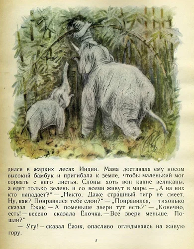 V. Bianchi Zoo 1956, illus. M. Kuksa - Illustrations, Vitaliy bianchi, Children's literature, Longpost