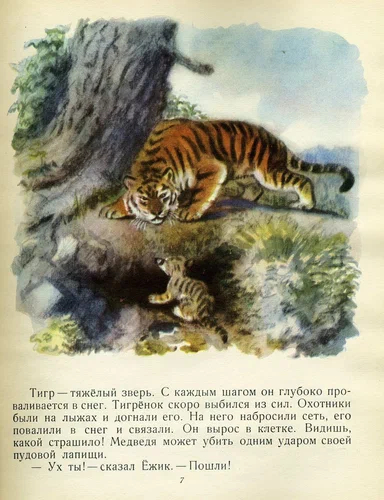 V. Bianchi Zoo 1956, illus. M. Kuksa - Illustrations, Vitaliy bianchi, Children's literature, Longpost