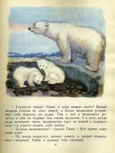 V. Bianchi Zoo 1956, illus. M. Kuksa - Illustrations, Vitaliy bianchi, Children's literature, Longpost