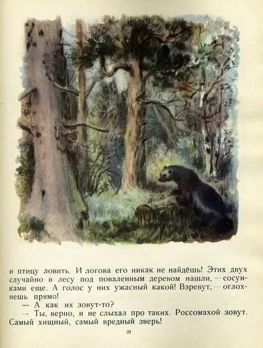 V. Bianchi Zoo 1956, illus. M. Kuksa - Illustrations, Vitaliy bianchi, Children's literature, Longpost