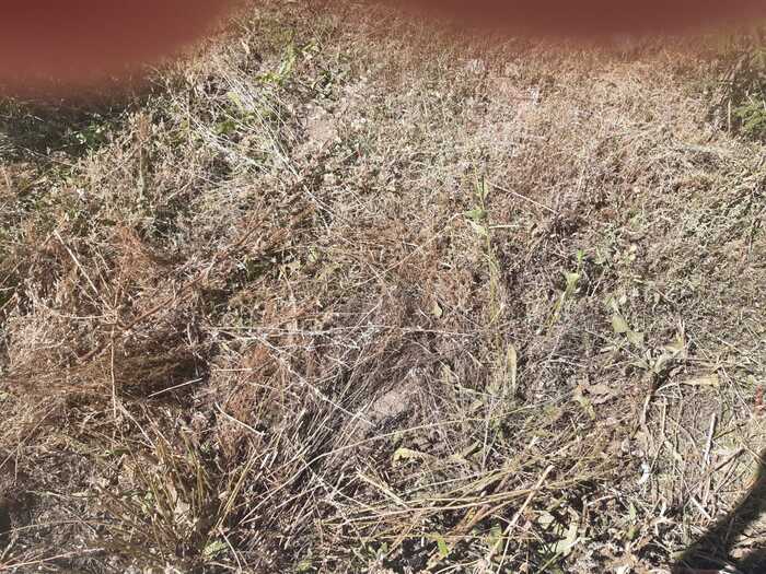 Теперь вот так всё выглядит.