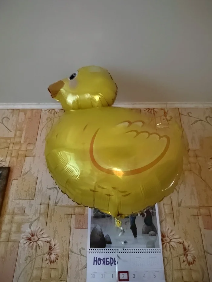 You can grunt! - Birthday Picabu, Longpost, Rubber duck, Knitted toys, Chudnoy DR, My