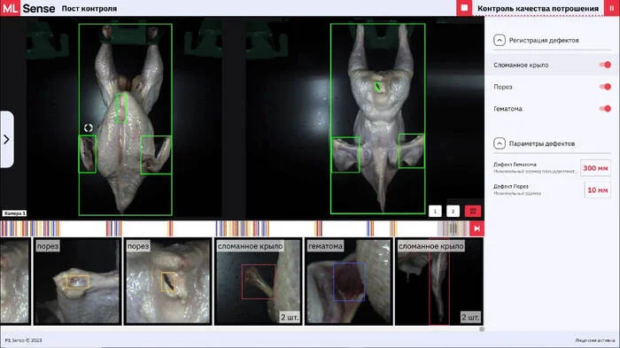 Checking chickens using AI - My, IT, Business, Innovations, Telegram (link), Artificial Intelligence, Technologies, Trend