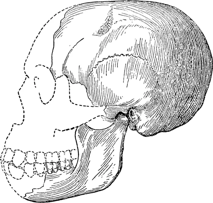 Scientific true crime: the man from Piltdown - My, Piltdown Man, Nauchpop, The science, Youtube, Research, Scientists, Archeology, Anthropology, Darwin's theory, Evolution, Hoax, Fake, Alexander Panchin, Myths, Parsing, Video, Longpost