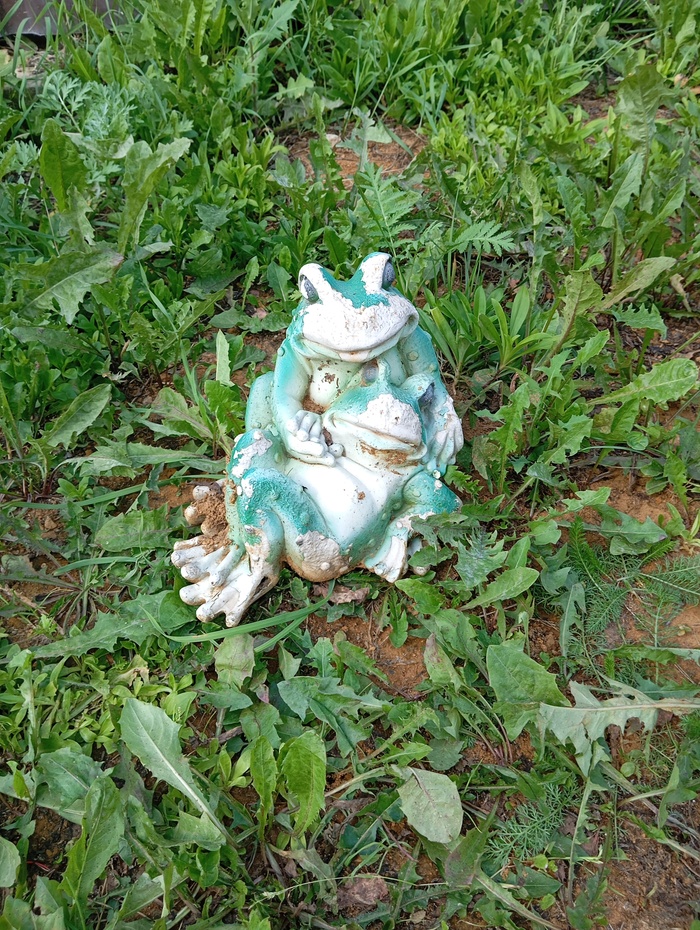 Вот сфоткал у соседей