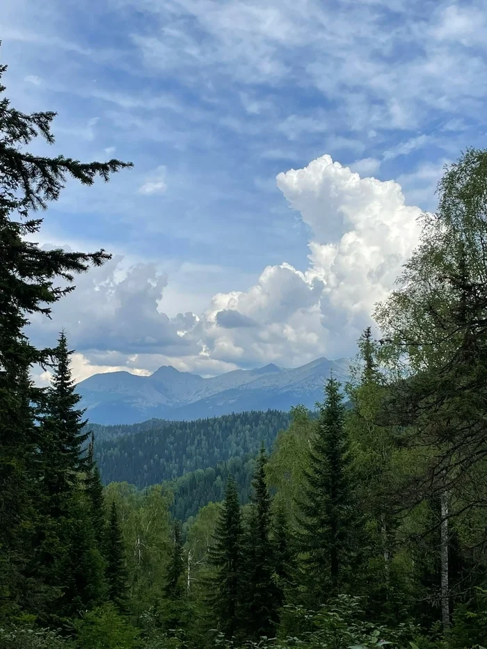 Kuznetsky Alatau. Fool's Peak - My, Travel across Russia, Tourism, Kuznetsk Alatau, Siberia, Khakassia, Hike, The mountains, wildlife, Forest Stories, Longpost