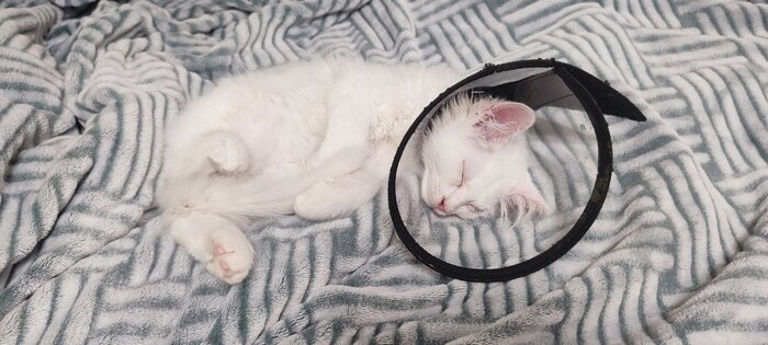 ���� ������� ���������� ���� ����� ���� ����������� ������������