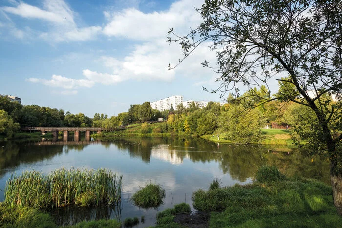 In NEAD the river beds of the Yauza, Chermyanka, Likhoborka, Ichka, Budaika, and Samoteka will be cleaned - Ecology, River, North-East Administrative District, Moscow, VKontakte (link)