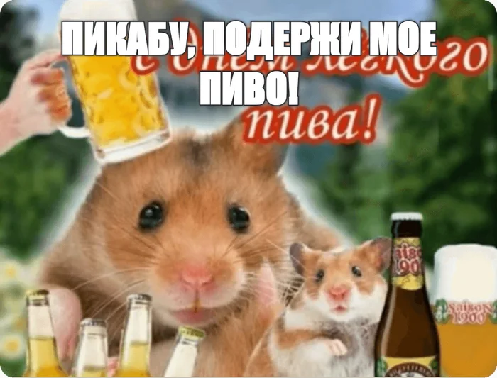 With DR in a nutshell - Birthday Picabu, Memes, meme generator, Picture with text