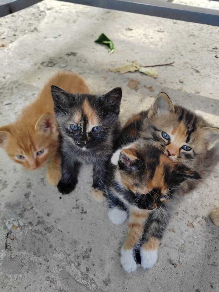         , ,  ,  , , 
