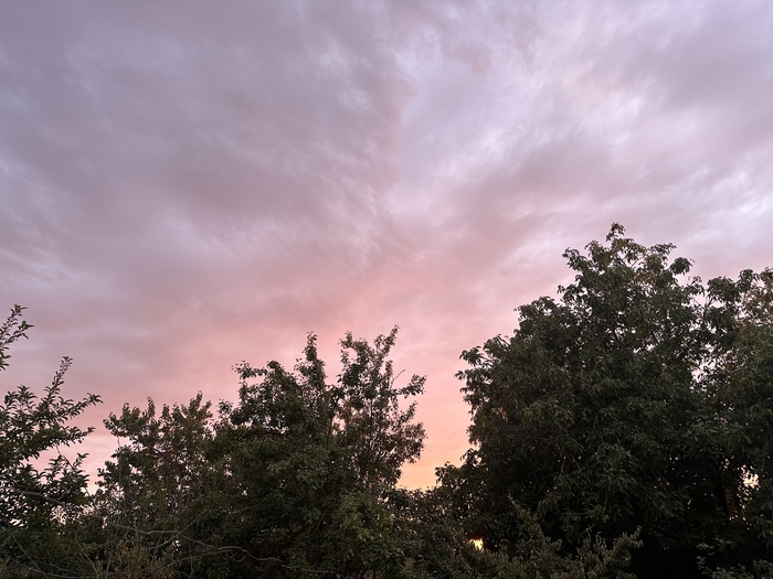 Чувство навязчивости