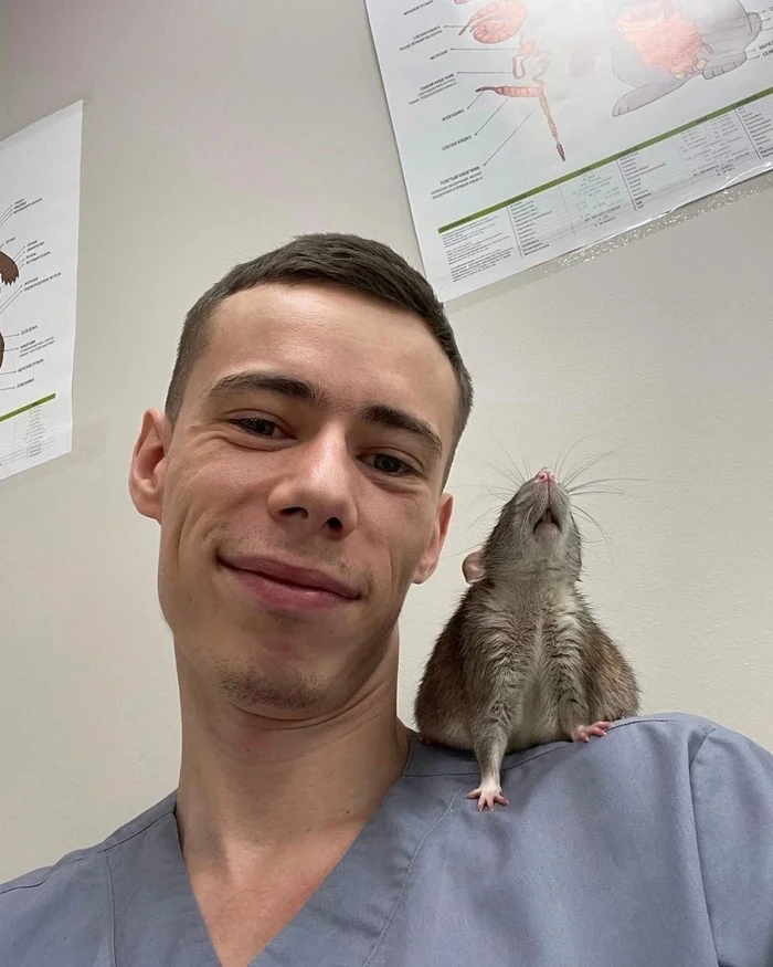 Matvey Olegovich Shevchenko, a veterinarian from St. Petersburg, took a photo with his animals in his care - Veterinary, Saint Petersburg, Milota, Animals, The photo, The medicine, Longpost