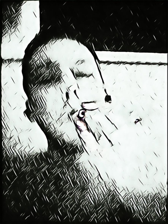Cure   ) ,  , 