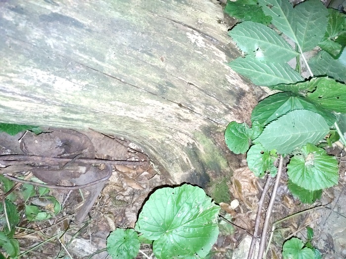 Скинул все вместе в кучу внизу, чтобы если еще прийду, то снова не копать