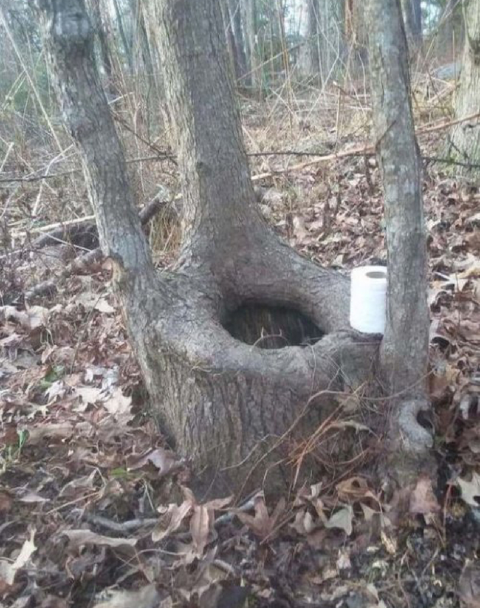 Шёпот природы