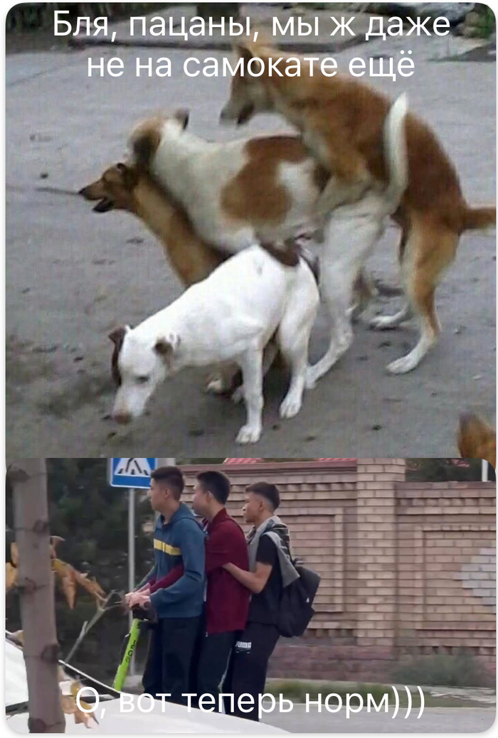 ))) , , , ,   , , 