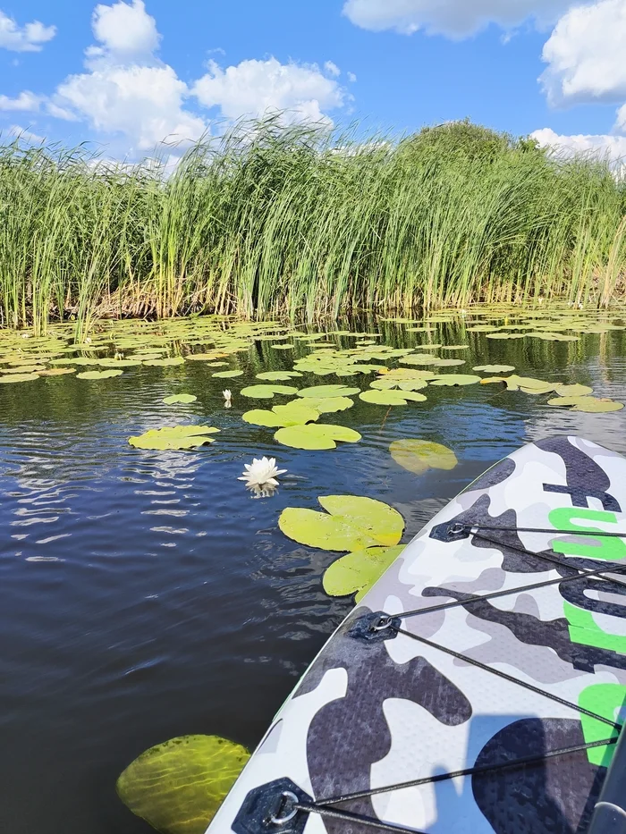 Summer - My, Summer, River, SUPsurfing, The photo